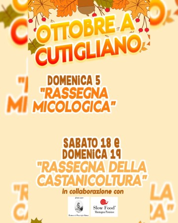 Rassegna della Castanicoltura